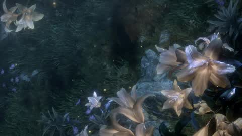 piu online show from 04-02-26, 02:26