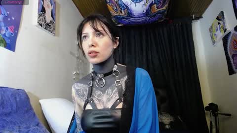 Snapshot of maliceinwonderland25 chatting on 12-19-24, 02:01 Alice Asylum online show from 12-19-24, 02:01