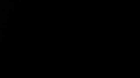 Alice Asylum online show from 11-02-25, 12:13