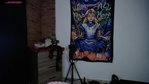 Snapshot of maliceinwonderland25 chatting on 05-28-26, 01:03 Alice Asylum online show from 05-28-26, 01:03