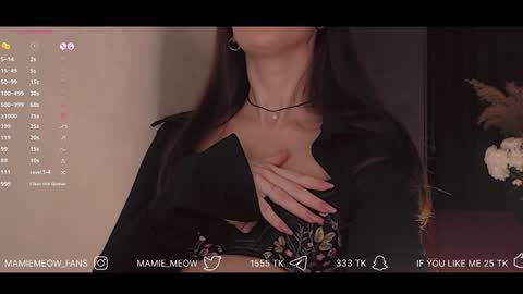 Snapshot of mamiemeow chatting on 01-29-25, 03:58 Your Miss Alice online show from 01-29-25, 03:58