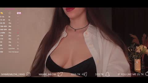 Snapshot of mamiemeow chatting on 02-03-25, 01:30 Your Miss Alice online show from 02-03-25, 01:30