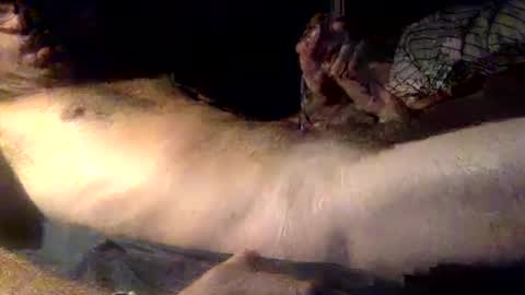 mandalay3 online show from 12-16-25, 05:12