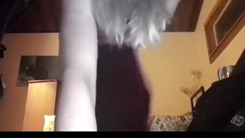 Snapshot of mangoseeed chatting on 11-01-25, 11:12 mangoseeed online show from 11-01-25, 11:12