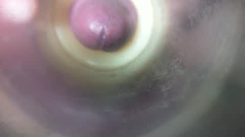 Marc online show from 02-19-26, 08:49