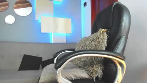 Snapshot of marcus_jax1 chatting on 02-14-25, 04:37 Marcus Jax1 online show from 02-14-25, 04:37