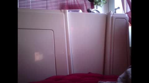 Snapshot of mariahjsav95 chatting on 02-12-25, 02:54 MariahJade95 online show from 02-12-25, 02:54