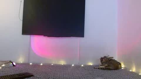 Snapshot of mariamcalad chatting on 01-02-25, 11:27 Mariam Calad online show from 01-02-25, 11:27