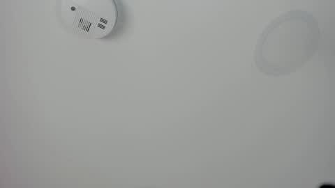 Maria Pettit online show from 03-08-26, 12:53