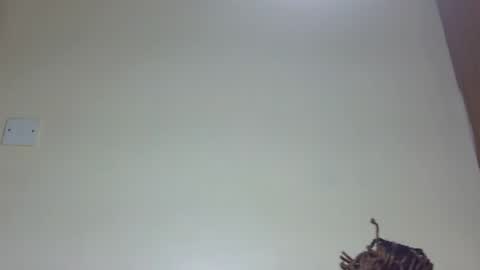Snapshot of marielove51 chatting on 06-26-26, 08:02 Marie online show from 06-26-26, 08:02