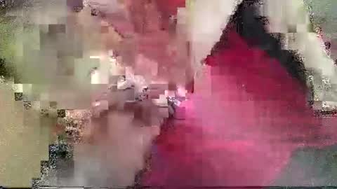 Snapshot of mark89506 chatting on 02-04-25, 02:53 DJs All Day Playhouse online show from 02-04-25, 02:53