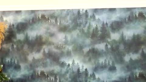 markshot_ online show from 12-14-25, 10:58