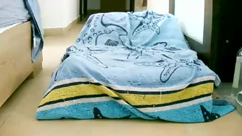 Snapshot of martinas_fantasies chatting on 10-12-25, 10:58 Play with me I obey I promise  online show from 10-12-25, 10:58