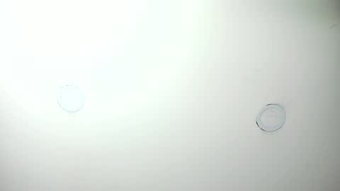 MashaPink online show from 04-07-26, 12:38