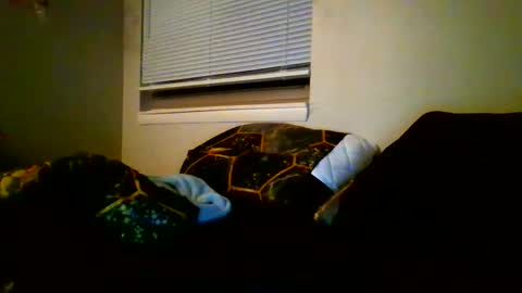 alex online show from 01-12-25, 04:10