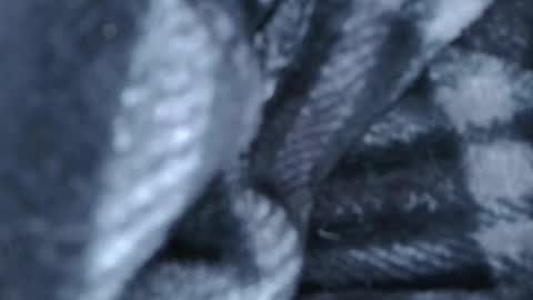 alex online show from 03-28-26, 01:27