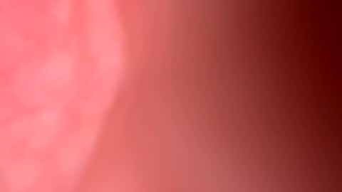 Freekster online show from 03-31-26, 06:30