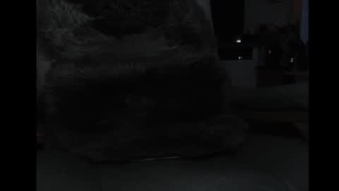 mav1962 online show from 04-05-26, 06:05