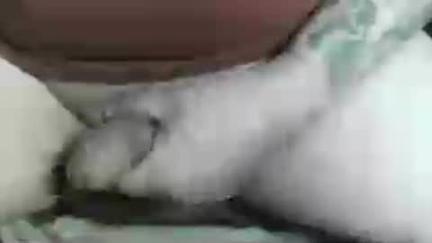 Snapshot of max_gv chatting on 07-25-26, 06:05 max_gv online show from 07-25-26, 06:05