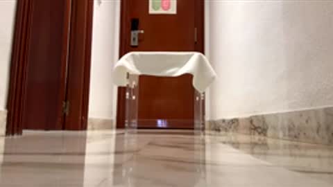 maximo1991 online show from 12-14-25, 06:19