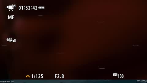 Snapshot of maximus_787 chatting on 01-31-25, 11:35 Maximus7871 online show from 01-31-25, 11:35