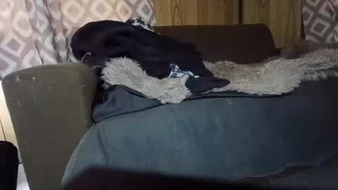 Snapshot of maximus_oreally chatting on 02-01-25, 07:15 Max online show from 02-01-25, 07:15