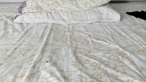 Maybelline69 online show from 11-20-25, 02:23