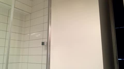 Snapshot of mcr8080 chatting on 12-29-24, 08:33 mcr8080 online show from 12-29-24, 08:33