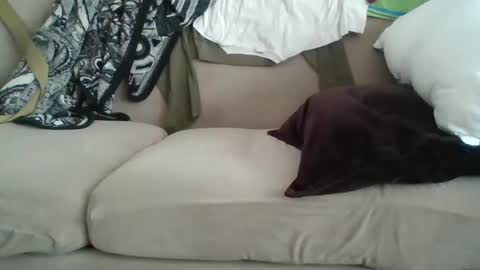 Snapshot of me_likey88 chatting on 02-08-25, 08:42 yung n hung online show from 02-08-25, 08:42