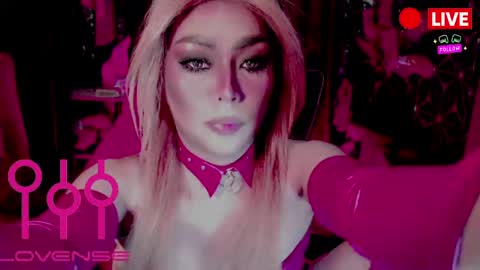 THE QUEEN ALPHA   Queen Medusa Prey online show from 04-11-26, 07:56