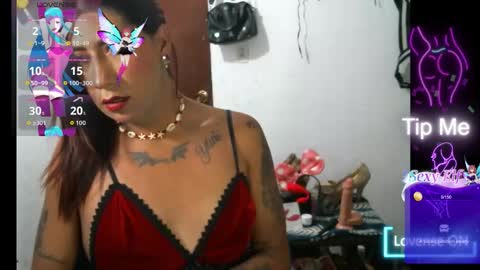Snapshot of meduza24 chatting on 01-19-26, 03:43 meduza online show from 01-19-26, 03:43