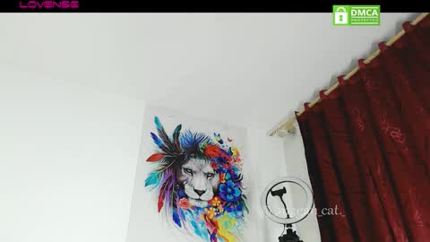 megan_cat online show from 11-13-25, 10:52