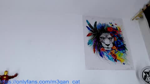 megan_cat online show from 11-25-25, 10:59