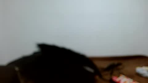 meganharry online show from 07-12-26, 02:24
