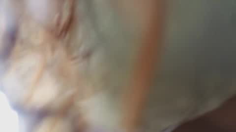 Megan online show from 02-18-26, 11:17