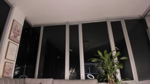 Snapshot of megann__sweet chatting on 01-31-25, 10:42 Mara online show from 01-31-25, 10:42