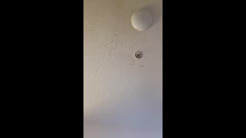 mel_hart_jr online show from 03-25-26, 07:47