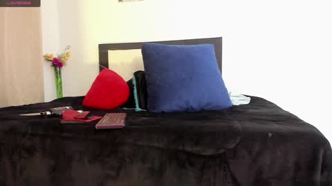 Snapshot of melaniie_roussel chatting on 12-22-24, 04:06 melaniie_roussel online show from 12-22-24, 04:06