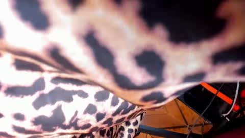 Melannie Ross online show from 04-21-26, 12:00