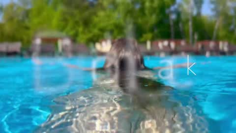 Adel online show from 12-12-24, 03:27