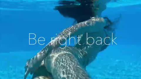 Adel online show from 09-15-25, 02:50