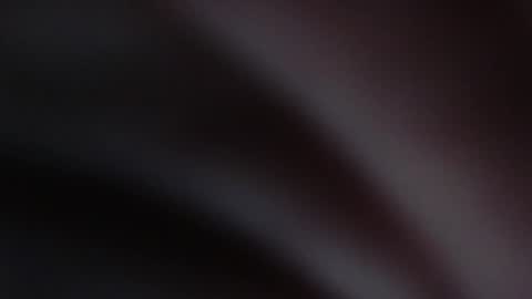 Snapshot of melefesenta chatting on 01-03-25, 08:32 Erica online show from 01-03-25, 08:32