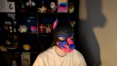 Snapshot of mellpup chatting on 06-15-26, 11:23 MellPUP online show from 06-15-26, 11:23