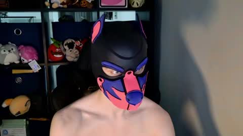Snapshot of mellpup chatting on 06-20-26, 03:15 MellPUP online show from 06-20-26, 03:15