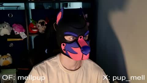 Snapshot of mellpup chatting on 06-25-26, 01:04 MellPUP online show from 06-25-26, 01:04