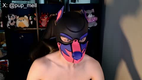 Snapshot of mellpup chatting on 08-04-26, 03:47 MellPUP online show from 08-04-26, 03:47