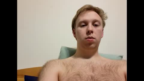 meow732 online show from 12-18-25, 01:44