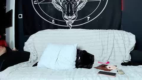 meowroslava online show from 11-17-25, 10:32