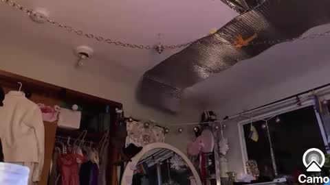 Snapshot of merelyalover chatting on 01-30-25, 02:06 gurlnips online show from 01-30-25, 02:06