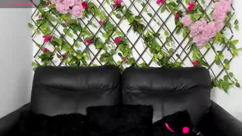 My next birthday is December 11th. online show from 11-14-25, 12:42